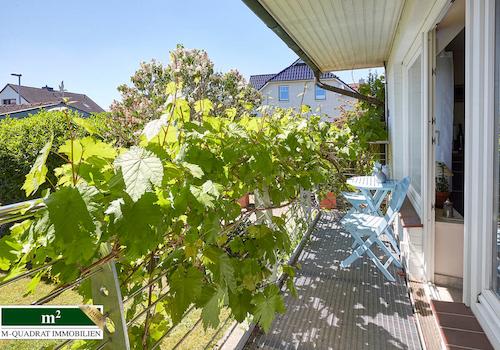 Sonnen-Balkon vorm Küchenfenster, mit Weinreben 