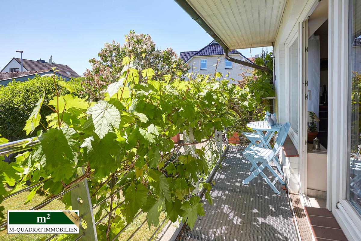 Sonnen-Balkon vorm Küchenfenster, mit Weinreben 