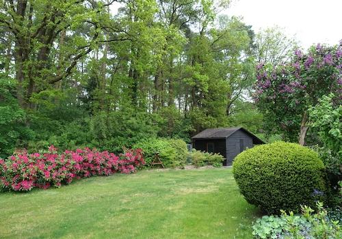 Garten, Schuppen, Waldrand