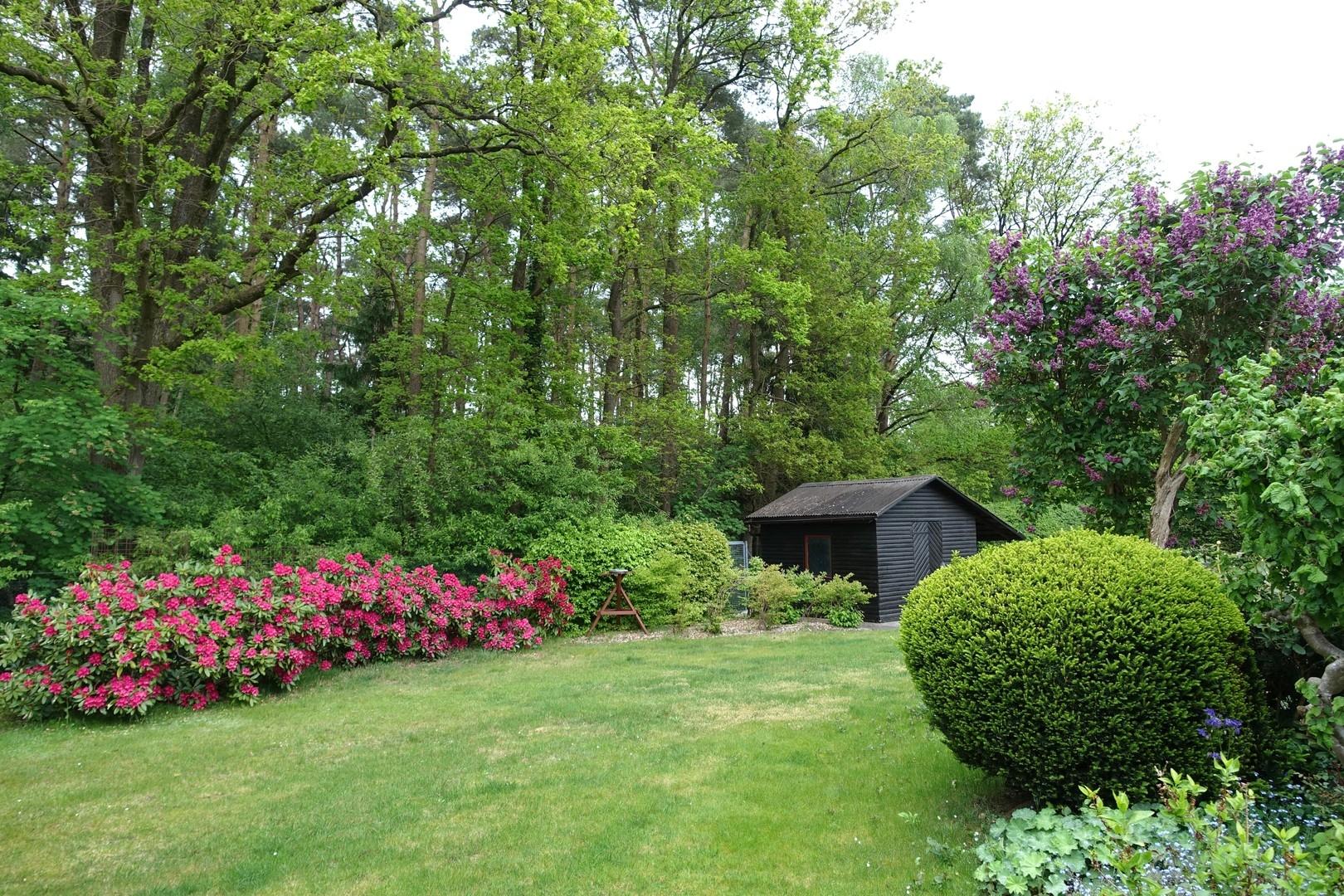 Garten, Schuppen, Waldrand