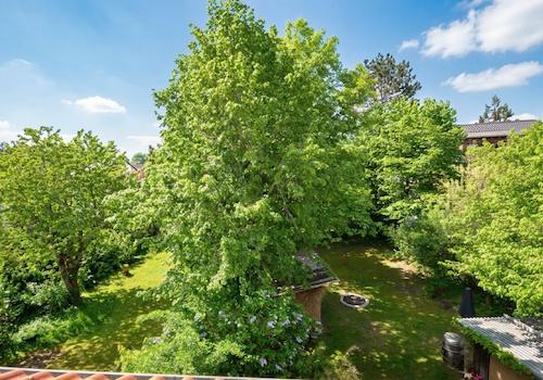 Ausblick nach Süden über die Gärten