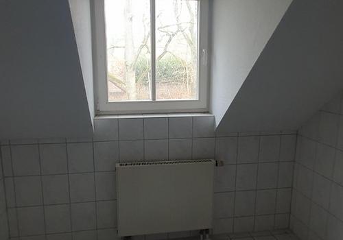 Gaube im Badezimmer