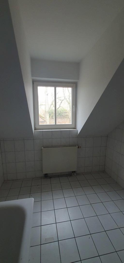 Gaube im Badezimmer