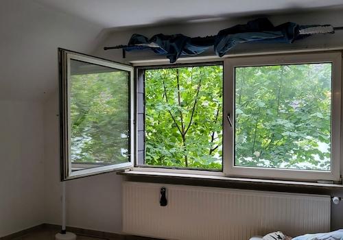 Zimmer DG