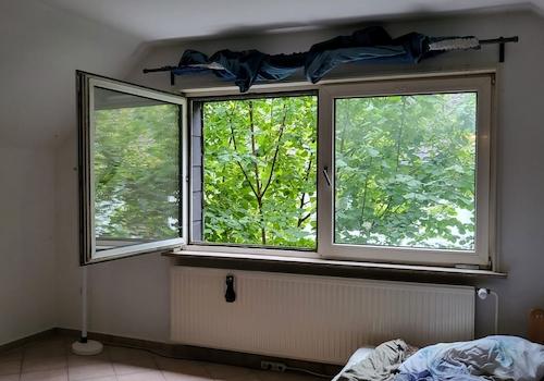 Zimmer DG