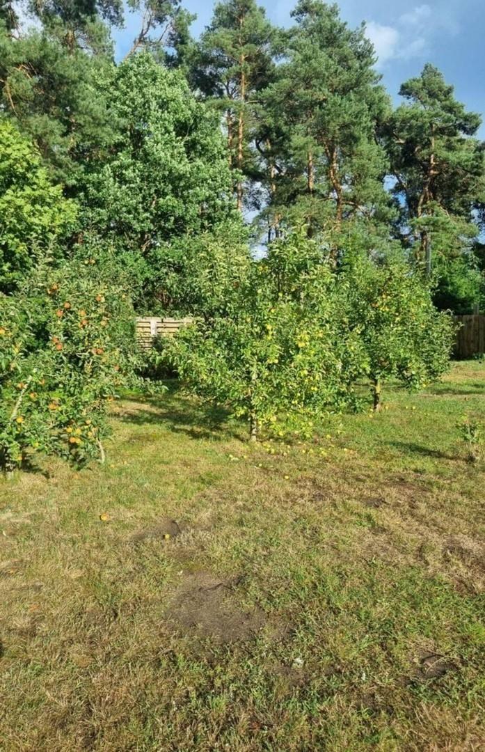 Hof östlich