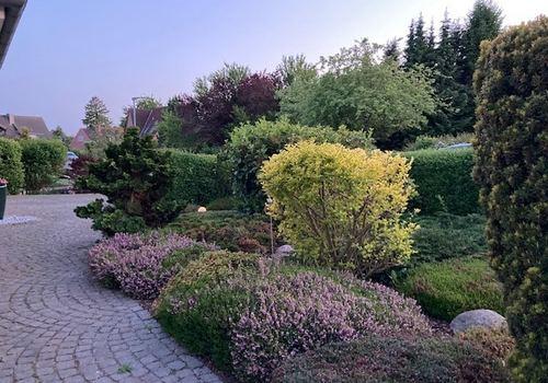 Garten vorne