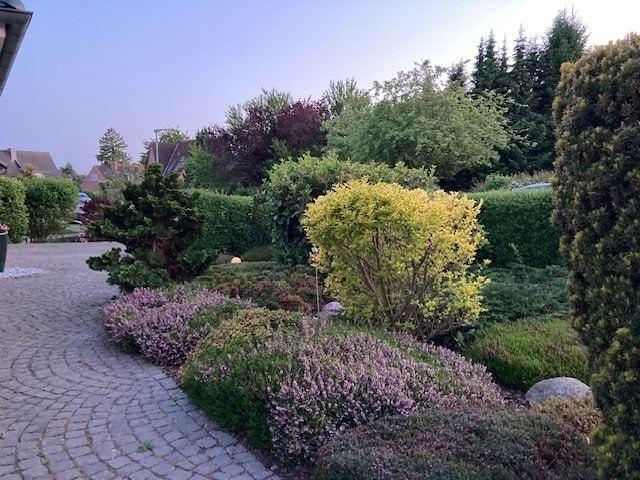 Garten vorne