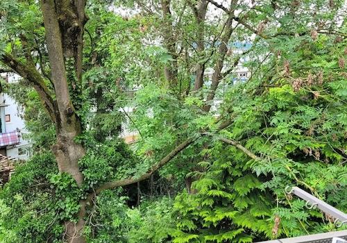 Blick vom Balkon