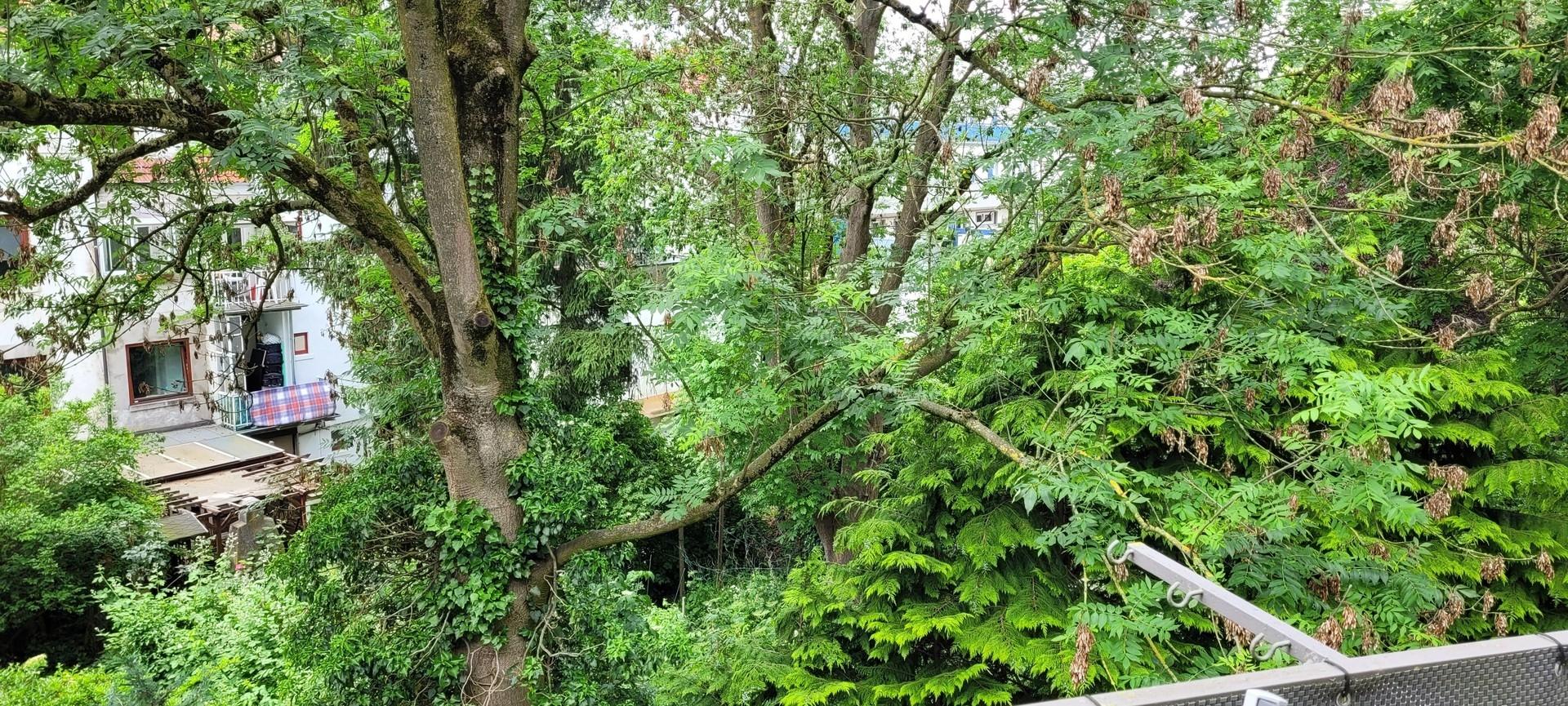 Blick vom Balkon