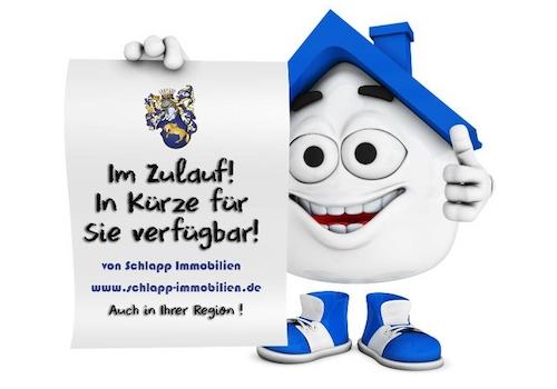 Im-Zulauf