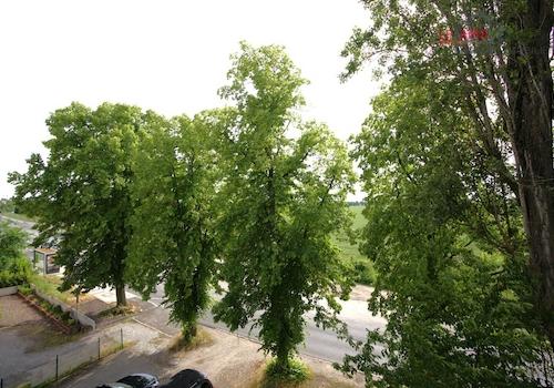 Aussicht Umgebung