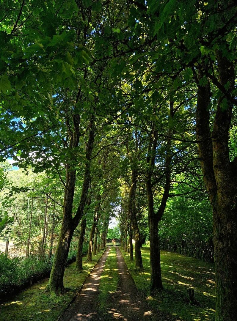 Untere Allee