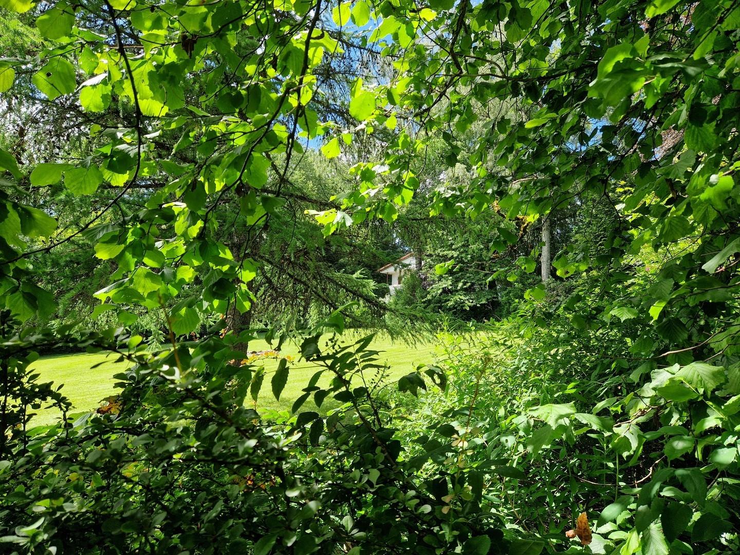 Wohnhaus im Sommer