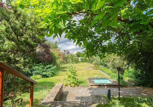 Blick in den Garten (1 von 1)