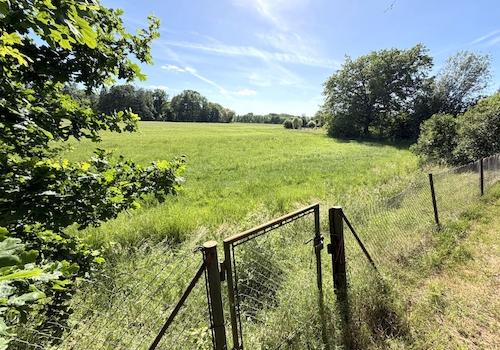 Panoramablick