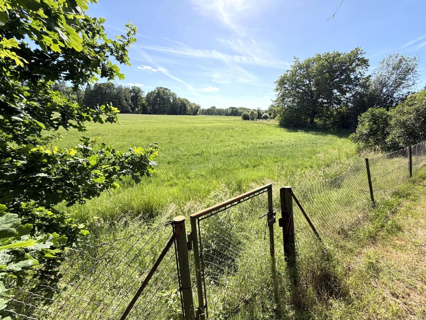 Panoramablick