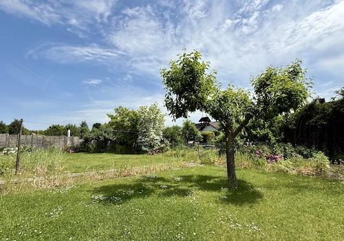 Gartenimpressionen