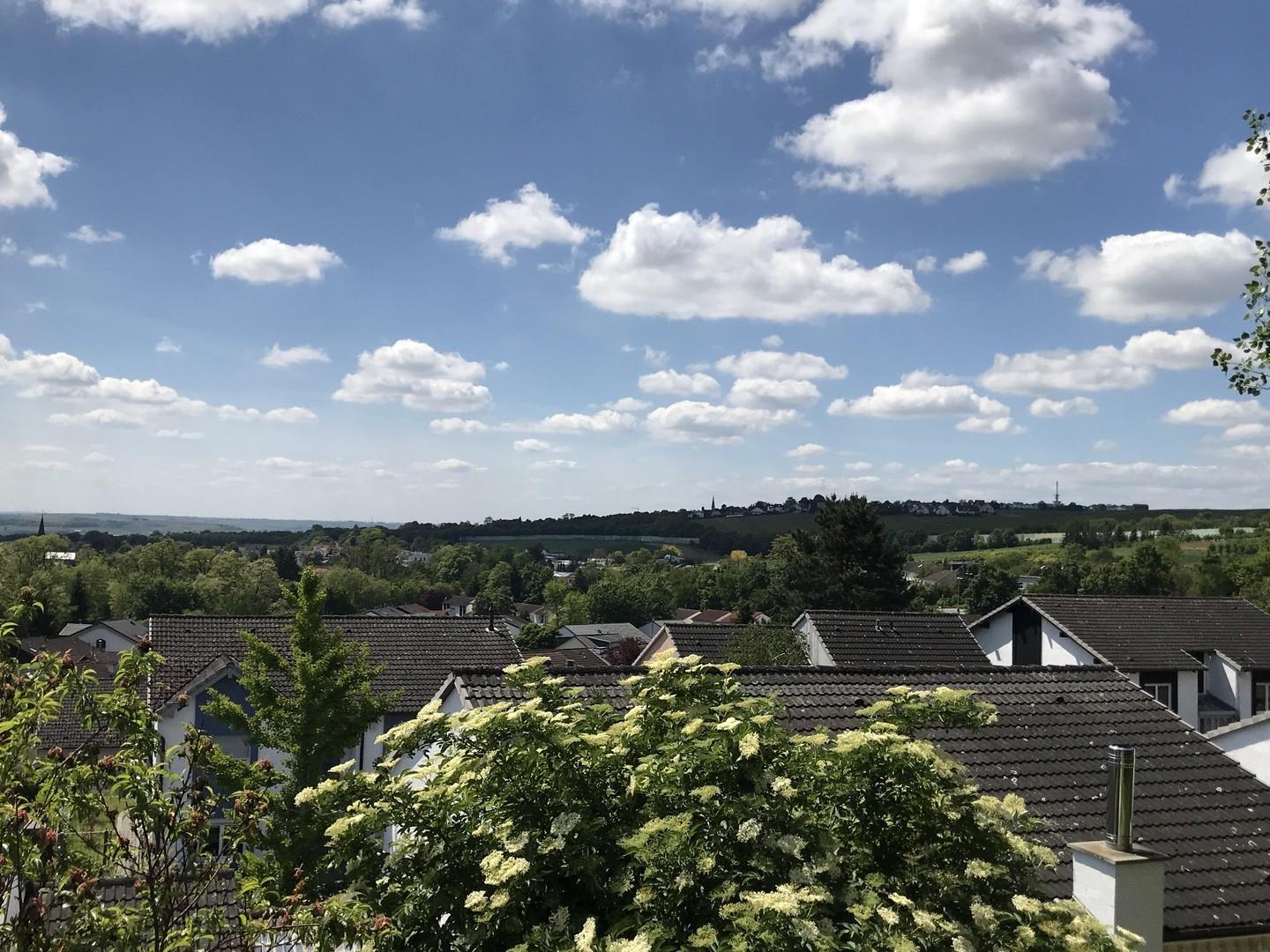 Ausblick vom Balkon