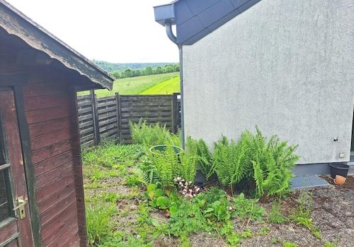 NW Ecke vom Garten gesehen