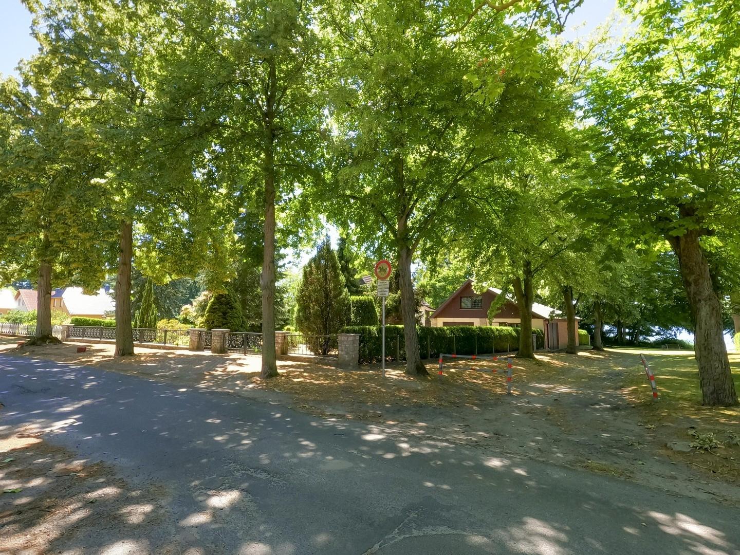 Grundstücksansicht Straße