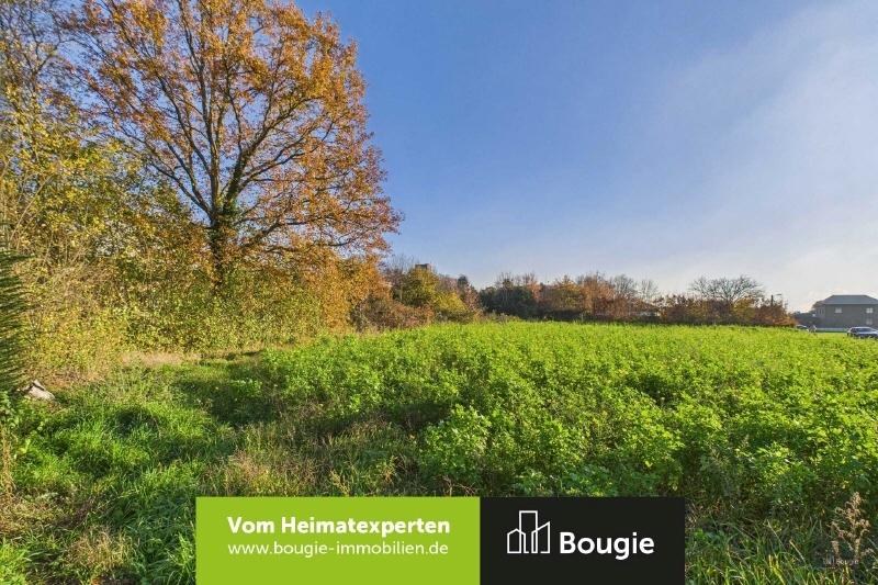 Vorderansicht