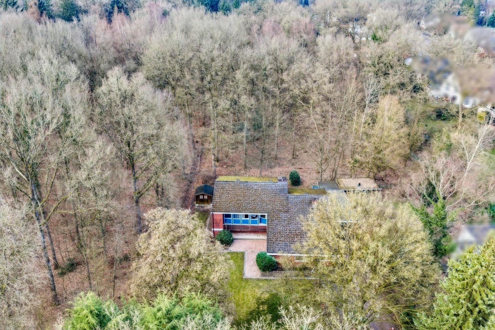 Waldgrundstück