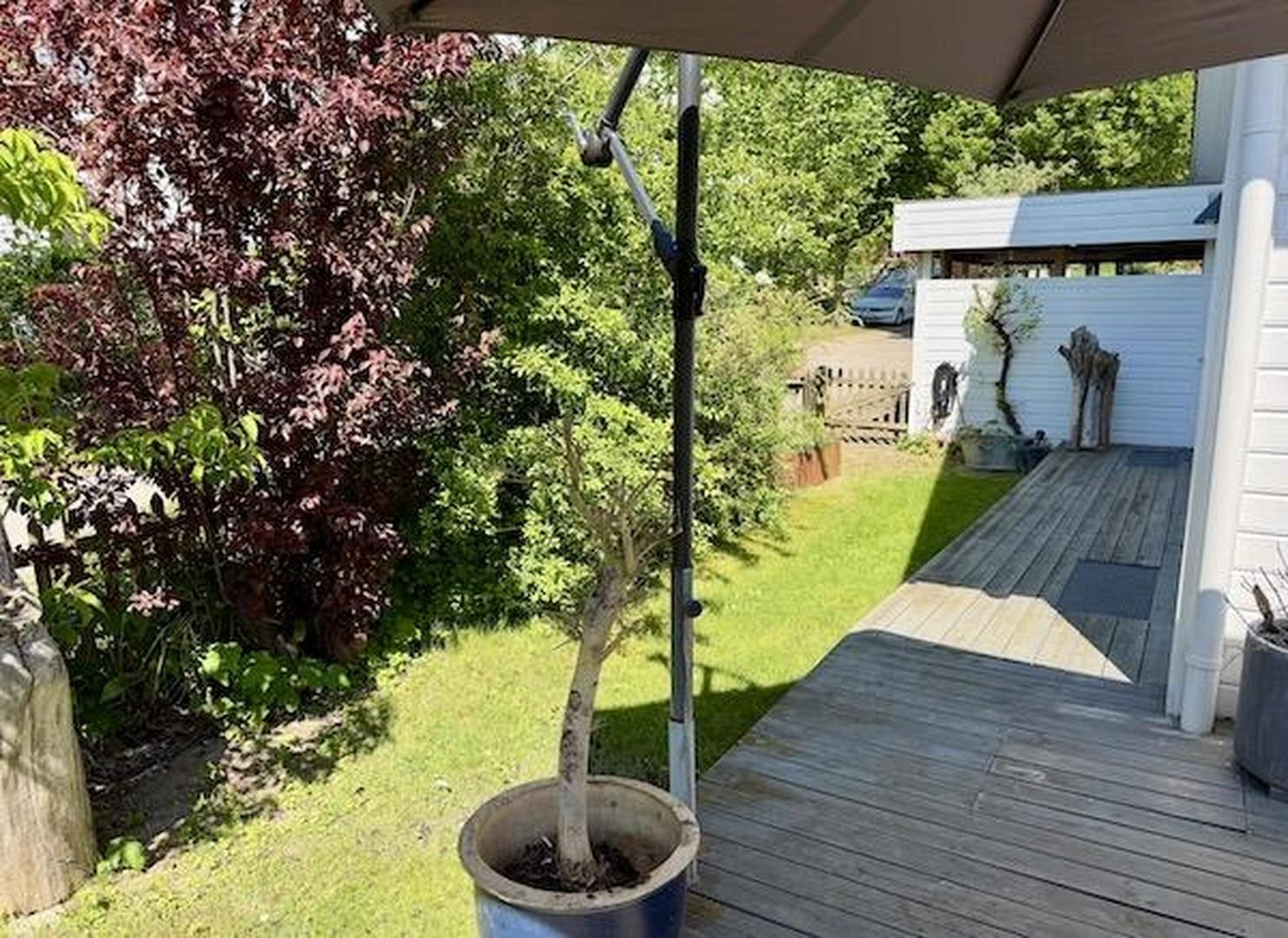 Ostumlaufende Terrasse