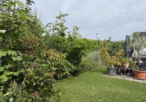 Rückansicht mit Garten