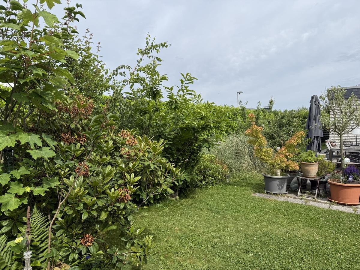 Rückansicht mit Garten