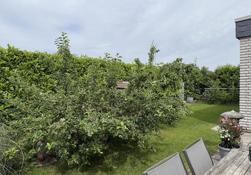 Rückansicht mit Garten