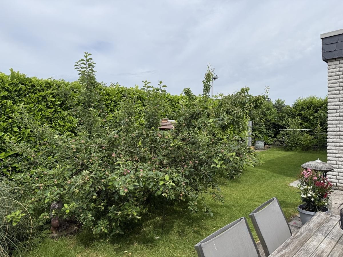 Rückansicht mit Garten