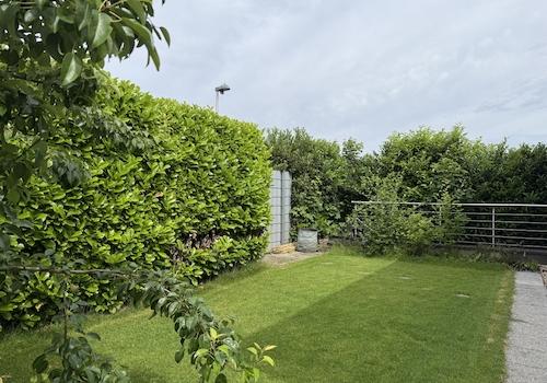 Rückansicht mit Garten