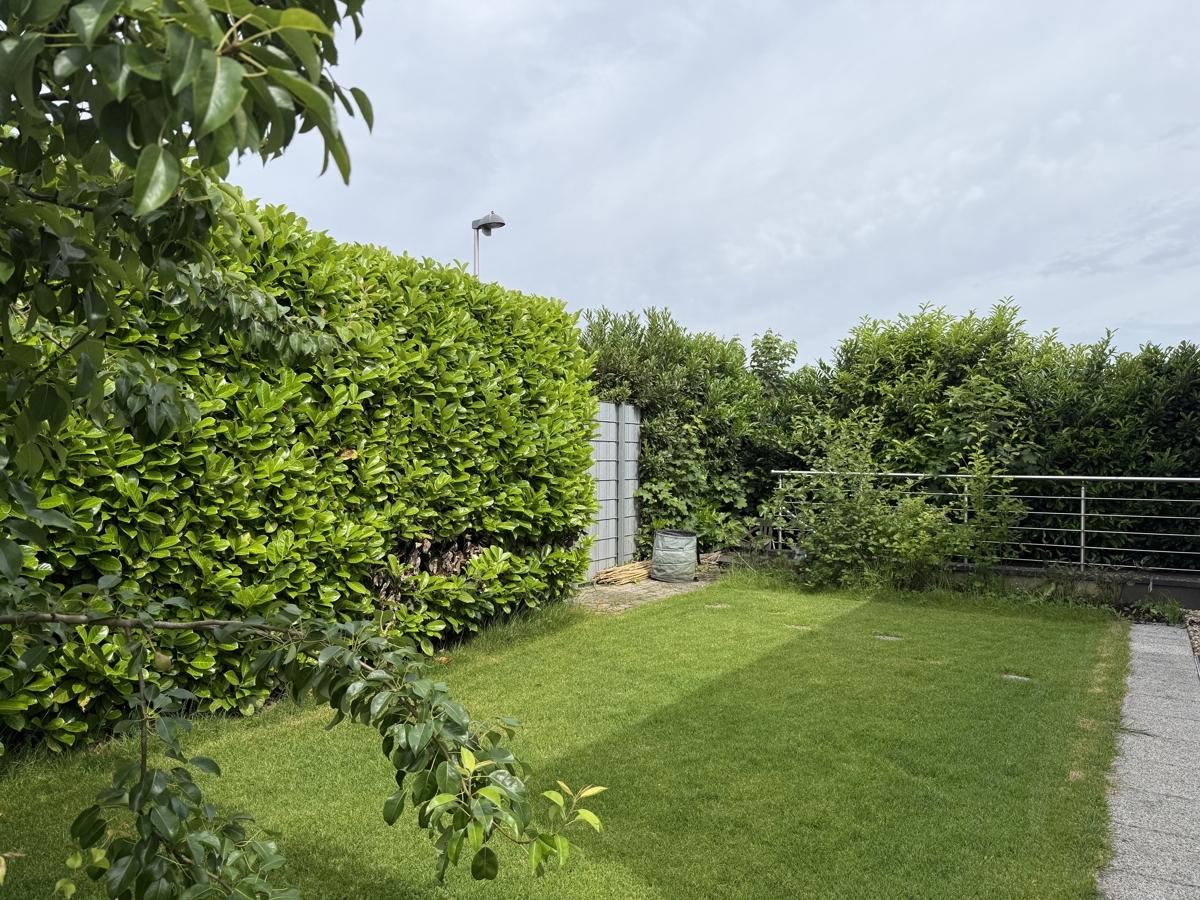 Rückansicht mit Garten