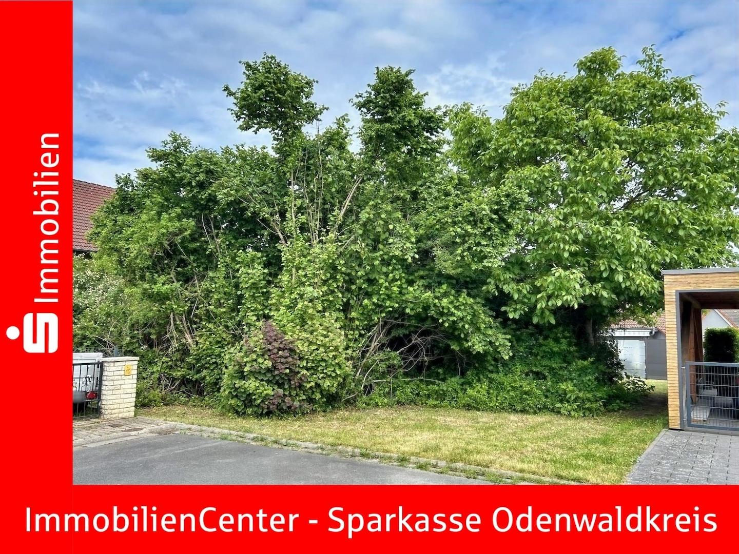 Ansicht Straßenseite Zugang