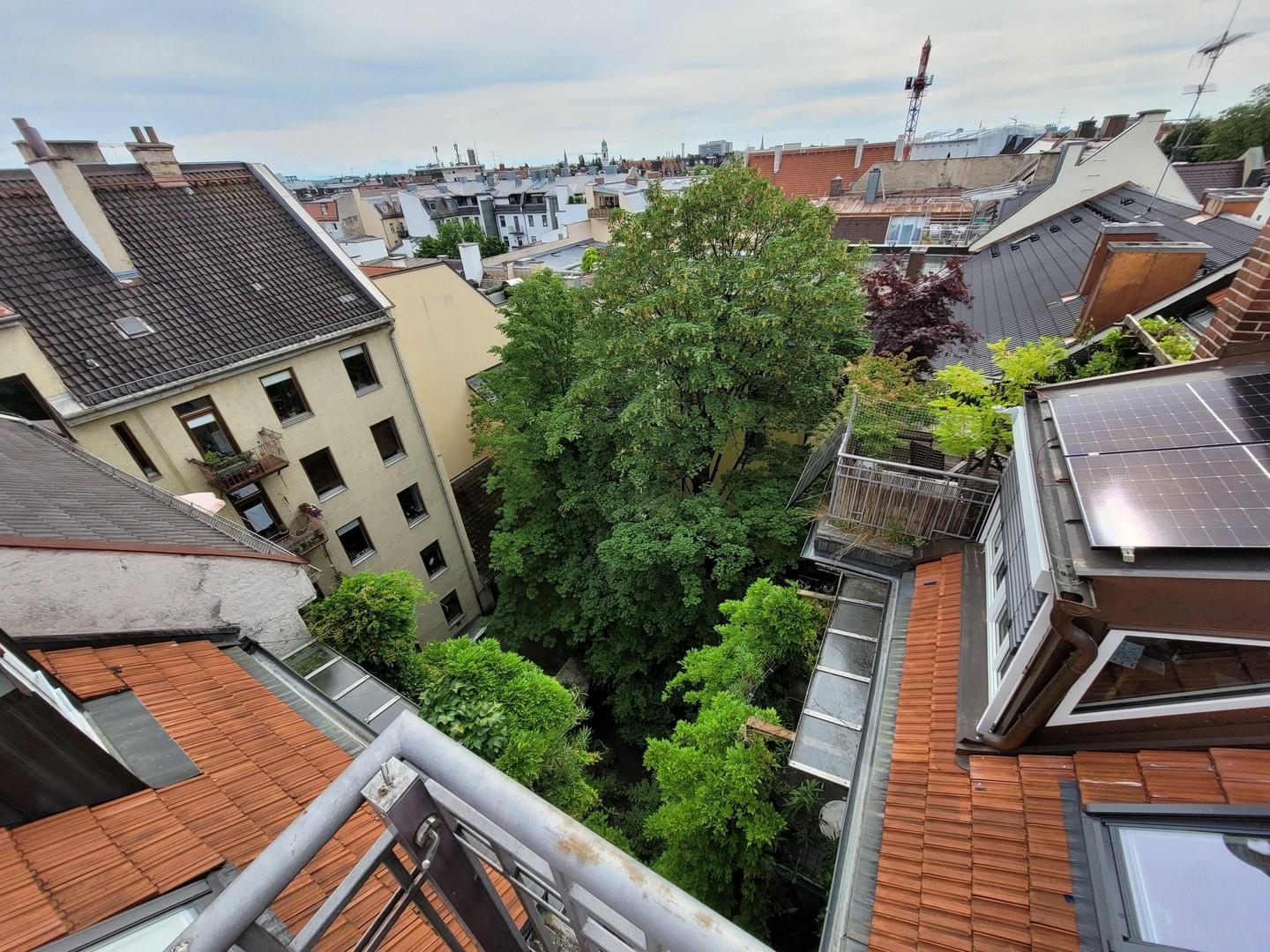 Blick von der Terrasse