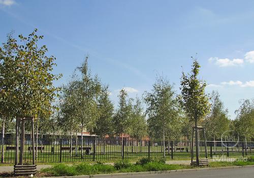 Blankensteinpark