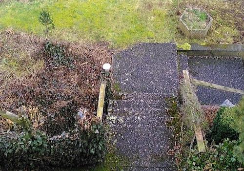 Sicht in den Garten