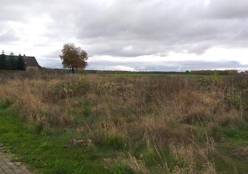 Blick von der Strasse n. West