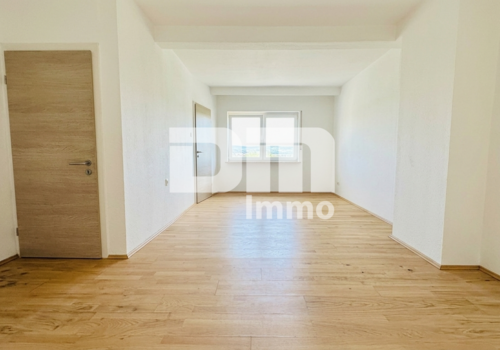 EG Wohn / Esszimmer