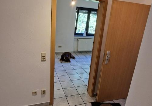 Küche / Flur