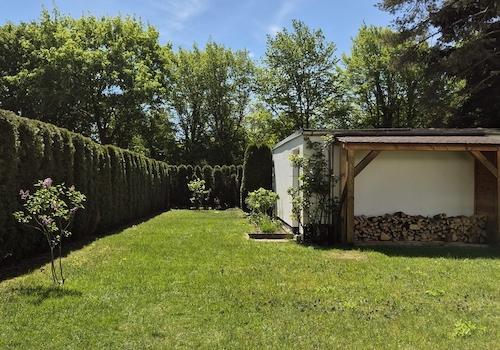 Blick in den Garten