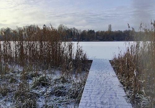 Steg zum See