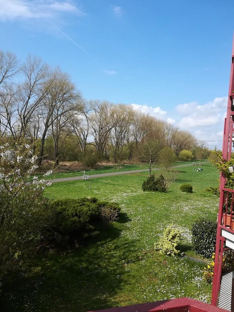 Blick auf den Uferweg