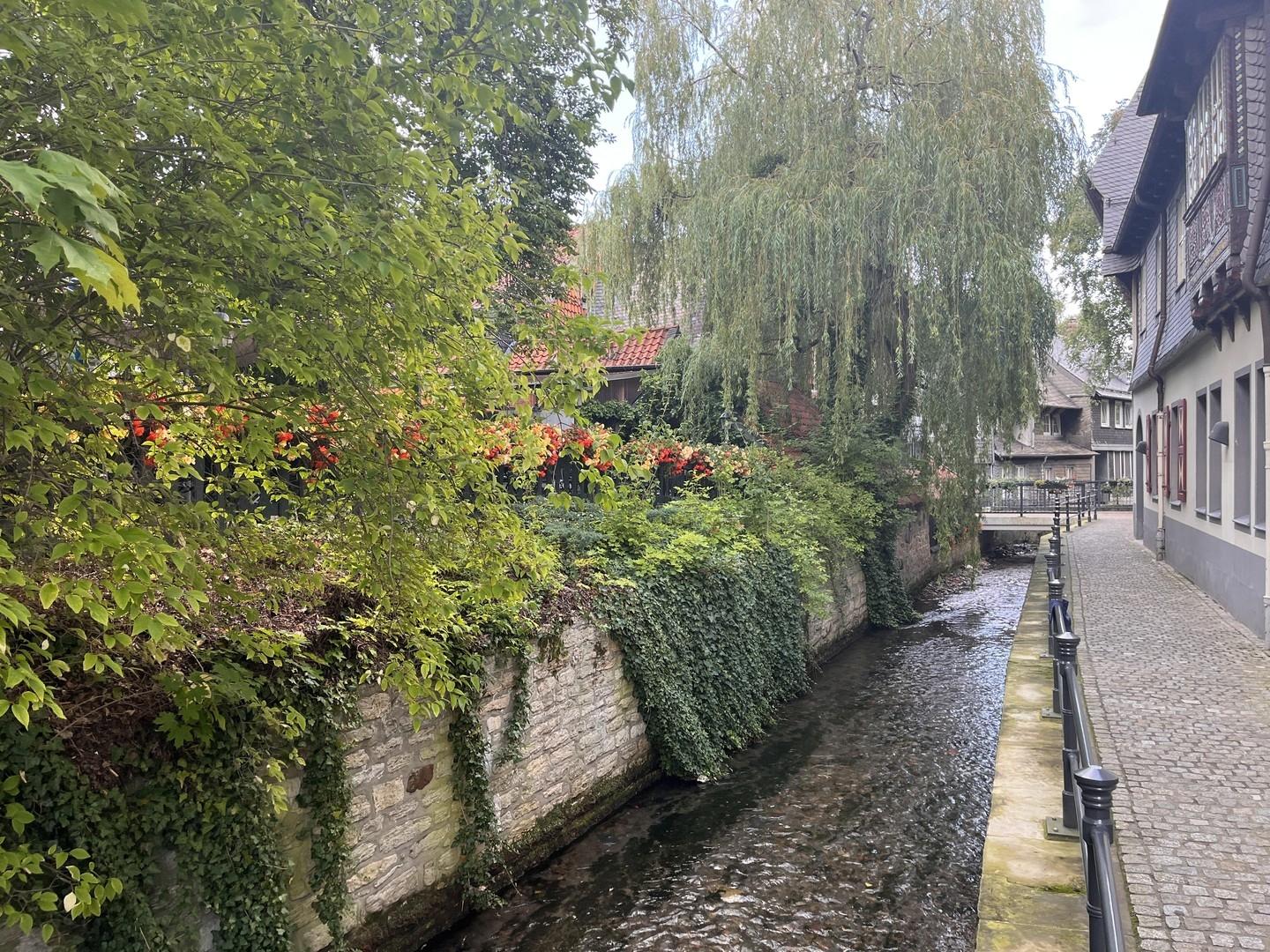 An der "Abzucht"
