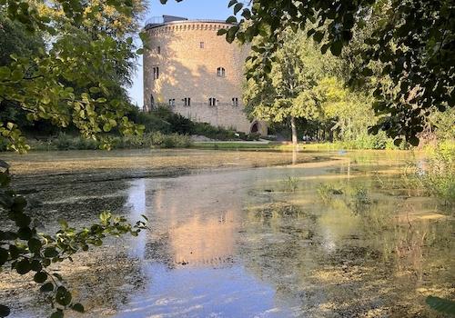 Teich