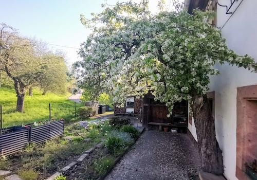 Garten