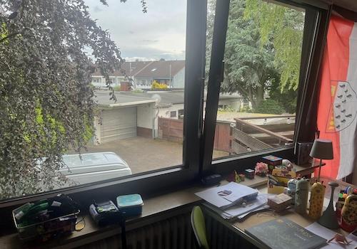 Ausblick