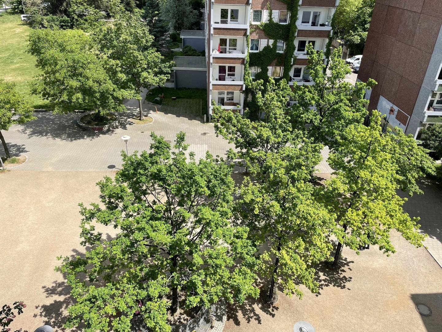 Blick nach unten