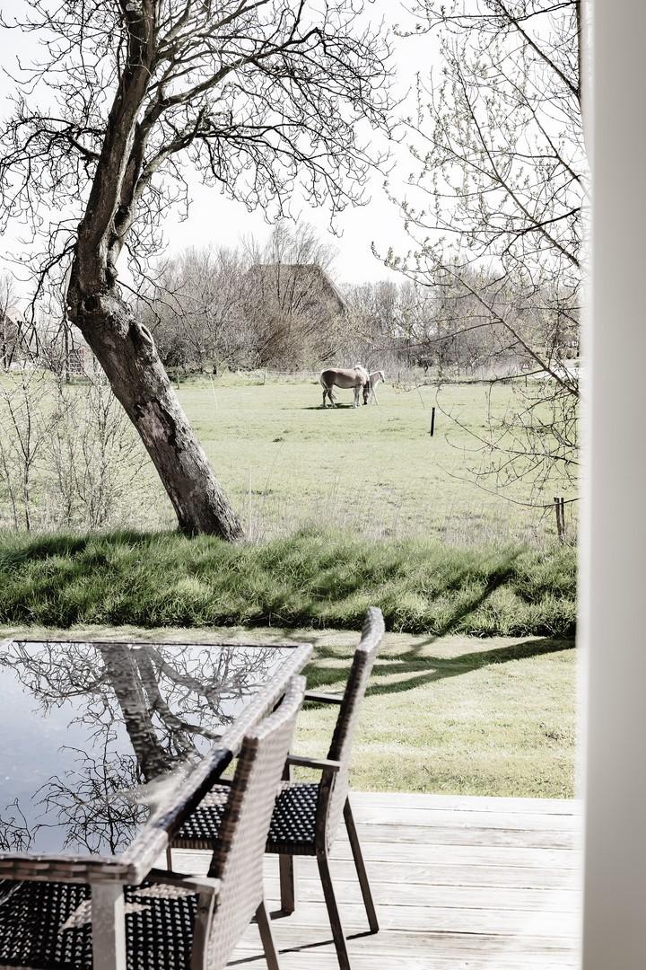 Südterrasse